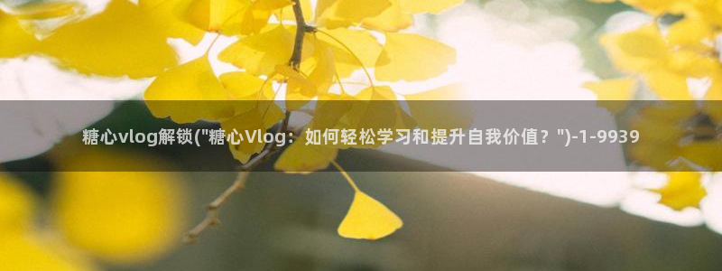 糖心vlog分享