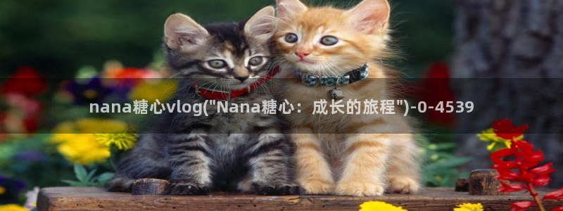 糖心vlog回家地址