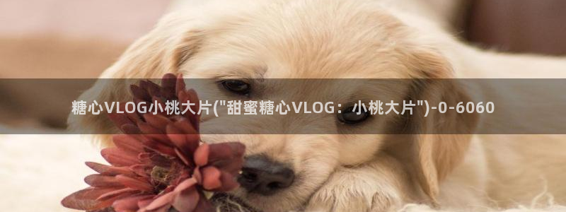 蛇信子糖心vlog