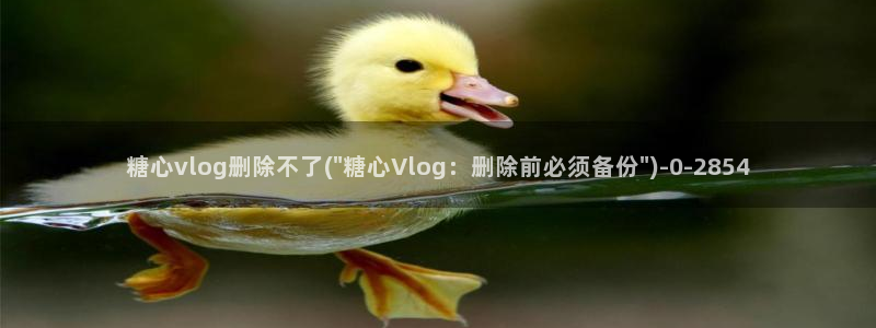 糖心VLOG破解金币
