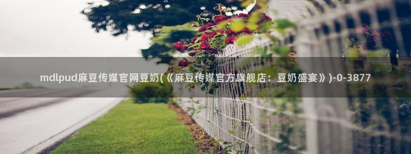 麻豆视频专题内容