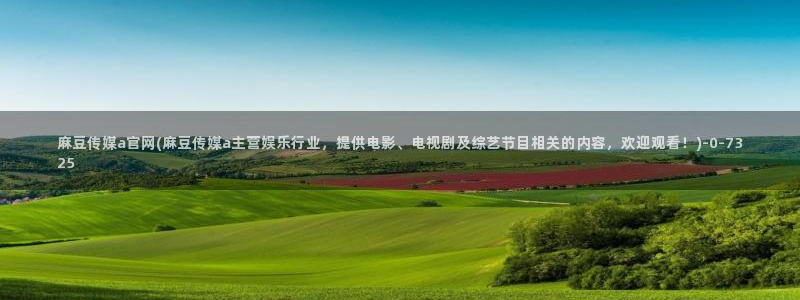 麻豆演员