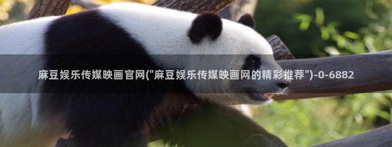 麻豆视频标签规划