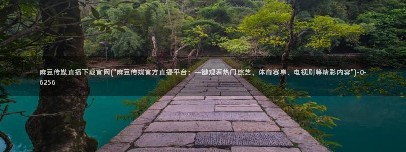 麻豆视频分类名称