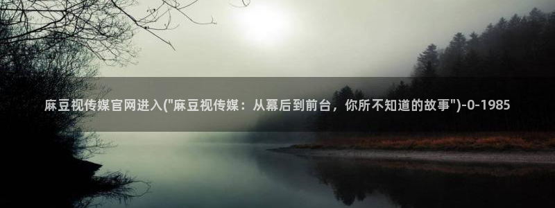 麻豆资讯标题