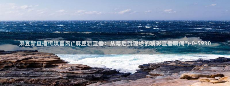 麻豆视频相关推荐