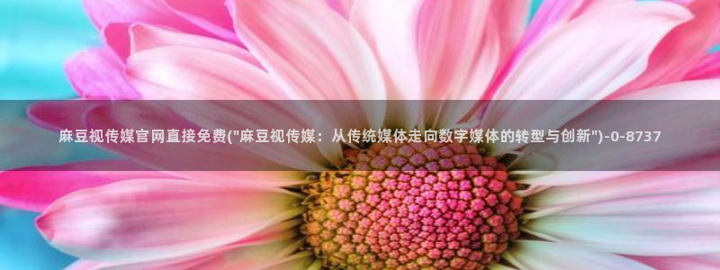 麻豆视频列表文案