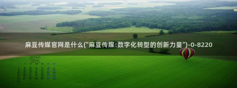 麻豆视频花絮：麻豆传媒官网是什么(\