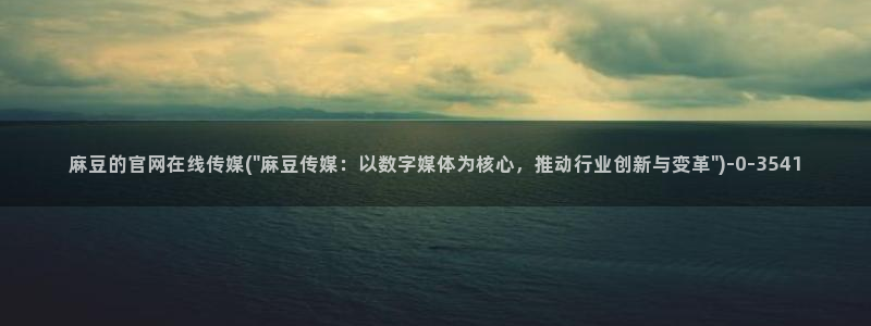 麻豆资讯描述
