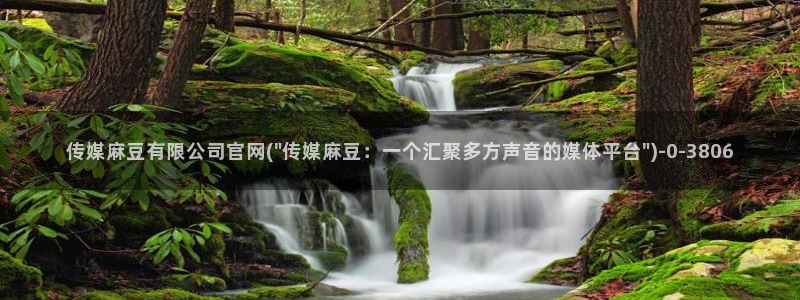 麻豆视频网站：传媒麻豆有限公司官网(\