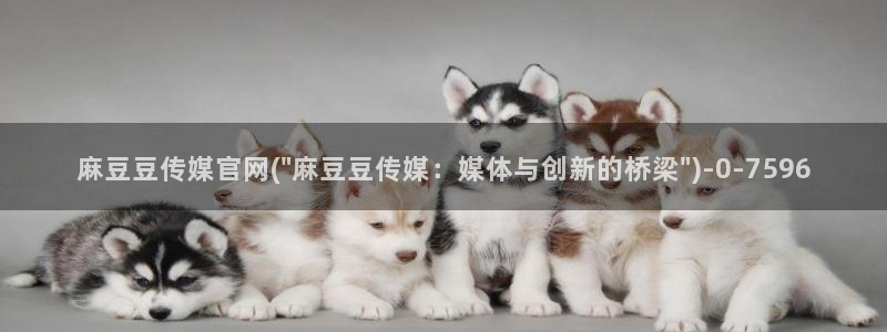 麻豆视频标签：麻豆豆传媒官网(\
