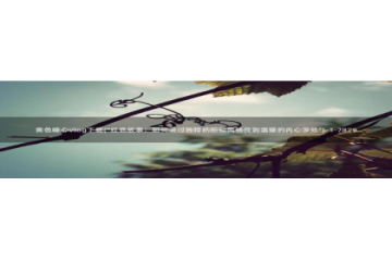 糖心vlog老板：黄色糖心vlog下载(\