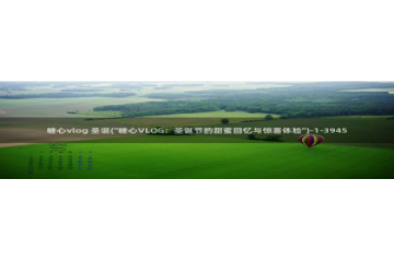 糖心app福利vlog：糖心vlog 圣诞(\