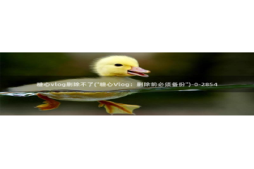 糖心VLOG破解金币：糖心vlog删除不了(\