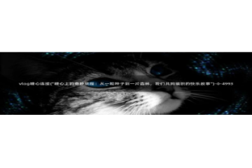 糖心VLOG破解金币：vlog糖心连接(\