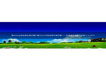 成人糖心vlog是什么：糖心vlog肉丝库水柚子