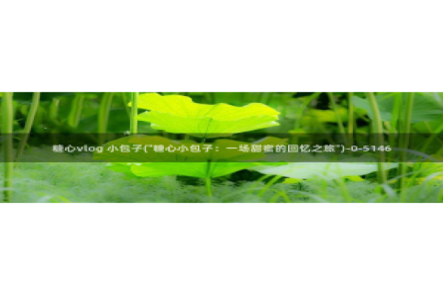 黄糖心Vlog软件：糖心vlog 小包子(\