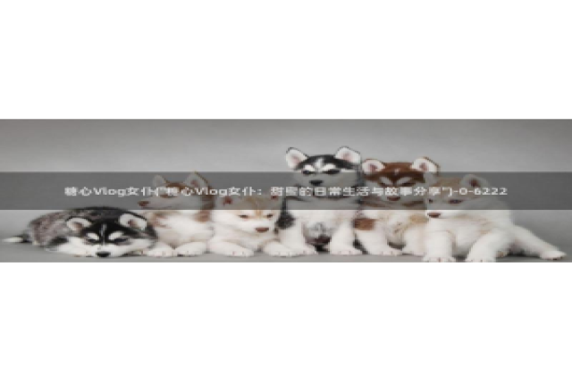 糖心vlog可爱兔资源：糖心Vlog女仆(\