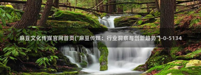 麻豆新人演员