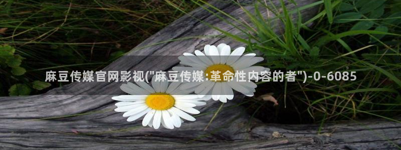 麻豆最新视频