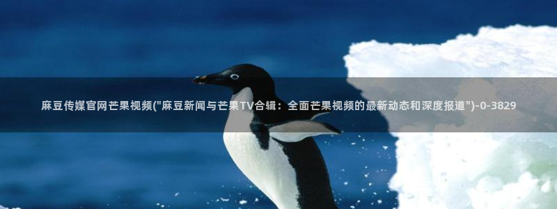麻豆标题库