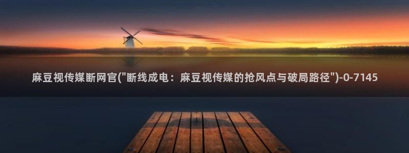 麻豆视频标签规划