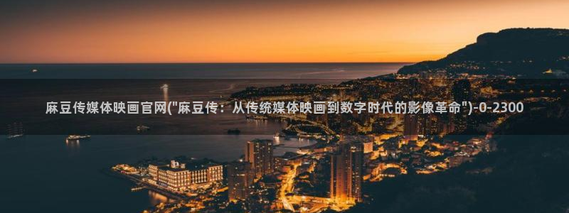 麻豆视频资料维护