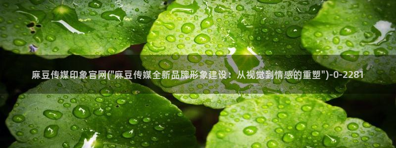 麻豆剧情解析
