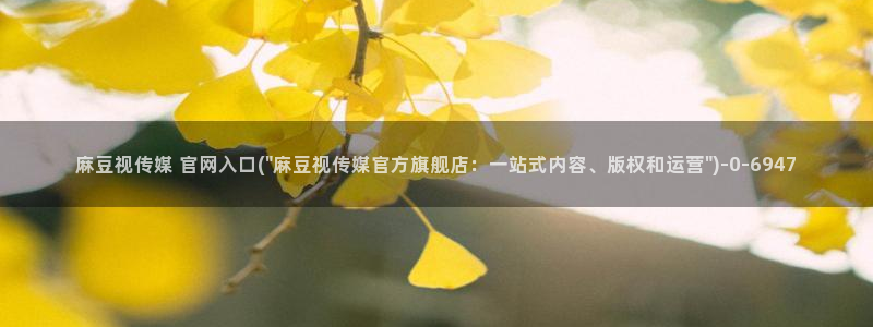 麻豆视频低竞争词