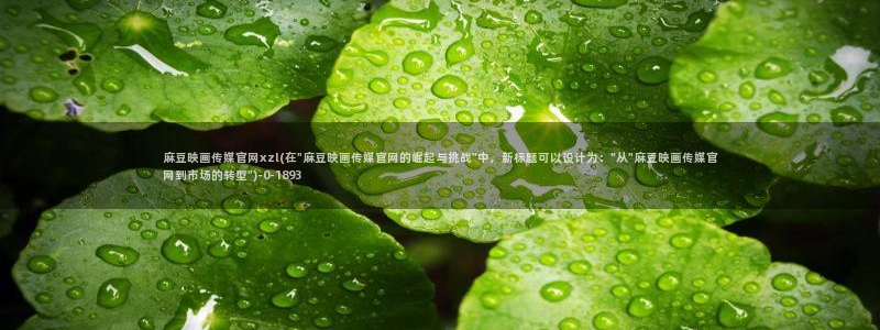 麻豆视频关键词