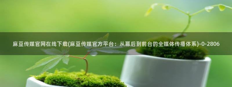 麻豆视频热门内容