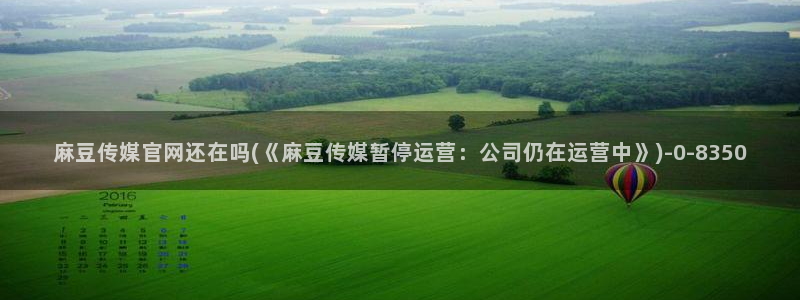 麻豆专题描述