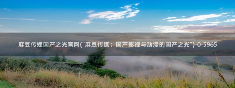 麻豆视频资料文案