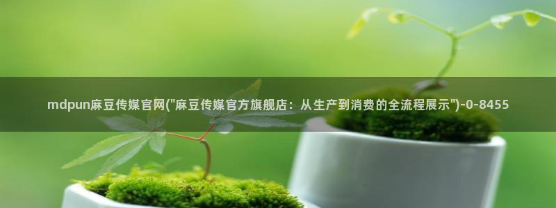 麻豆传媒新片