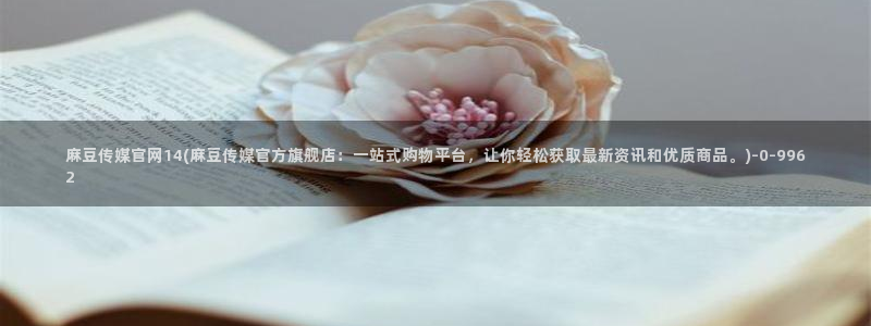 麻豆视频页面描述