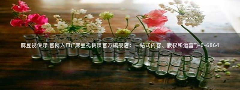 麻豆系列视频