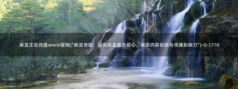 麻豆视频优质内容