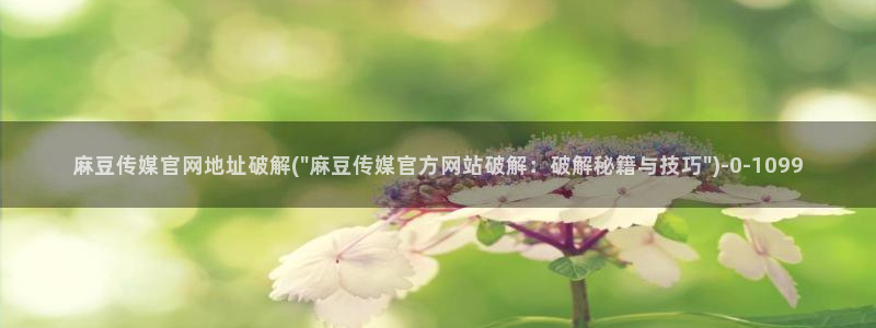 麻豆视频指南文案