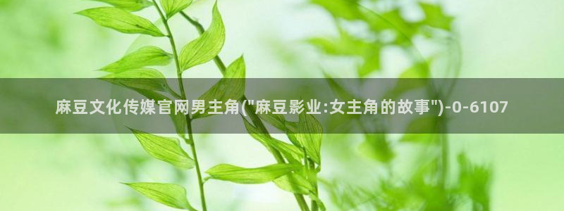 麻豆指南页