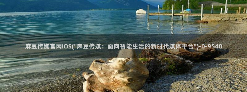 麻豆视频资料文案