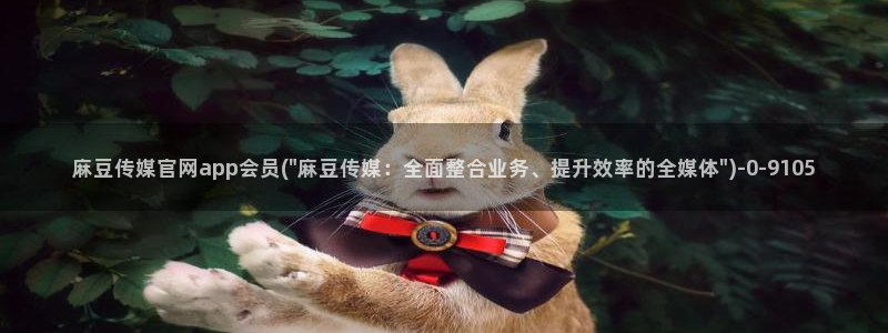 麻豆精选片单