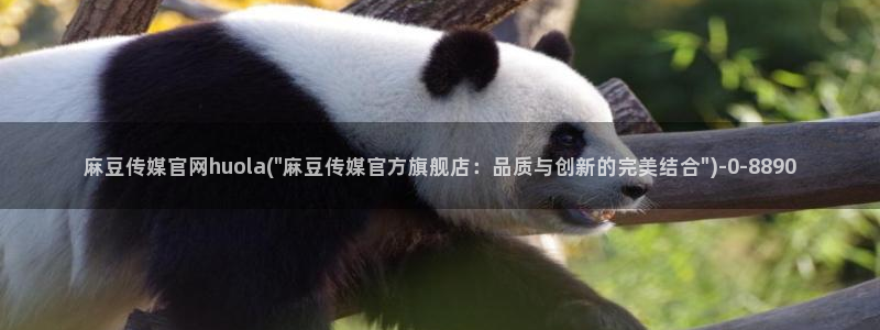 麻豆视频排名词