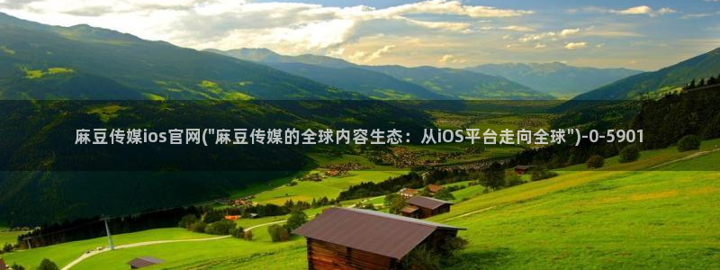 麻豆演员