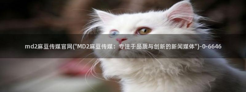 麻豆视频分类